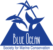 Blue Ocean Society for Marine Conservation