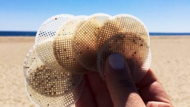 Hooksett disks found at a beach cleanup