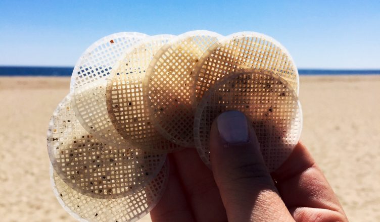 Hooksett disks found at a beach cleanup