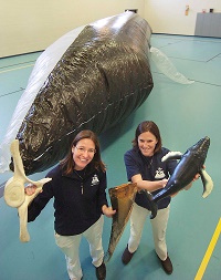 Our co-founders Dianna Schulte and Jen Kennedy, with an earlier version of our inflatable whale. This image was taken in the early 2000s.