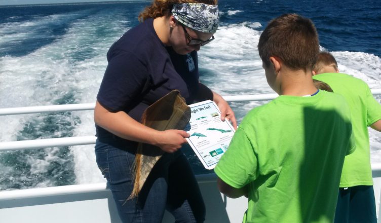 Volunteer on whale watch boat