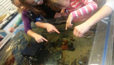 Exploring touch tank at Blue Ocean Discovery Center