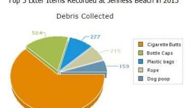 Top 5 Items Collected at Jenness Beach in 2015