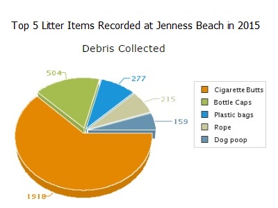 Top 5 Items Collected at Jenness Beach in 2015