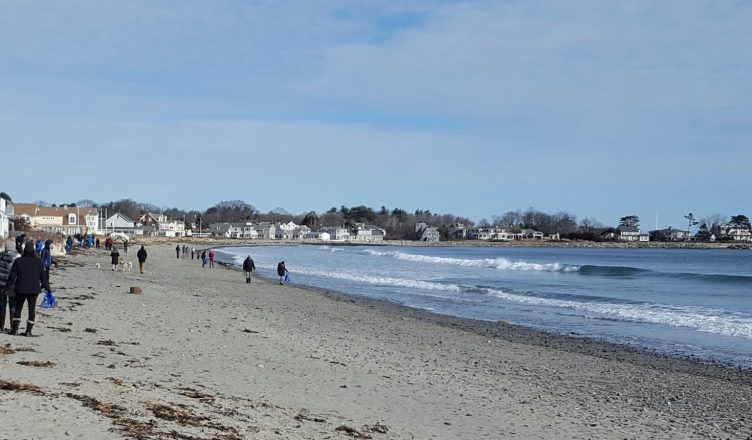 Jenness Beach Cleanup, 1/14/17