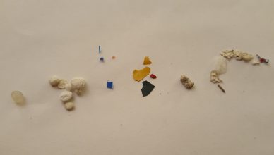 Examples of microplastics