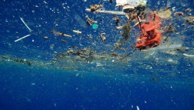 Floating plastic, courtesy plasticoceans.org