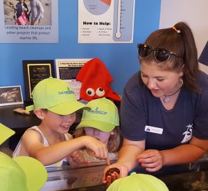 Your gift will help support education at our Blue Ocean Discovery Center