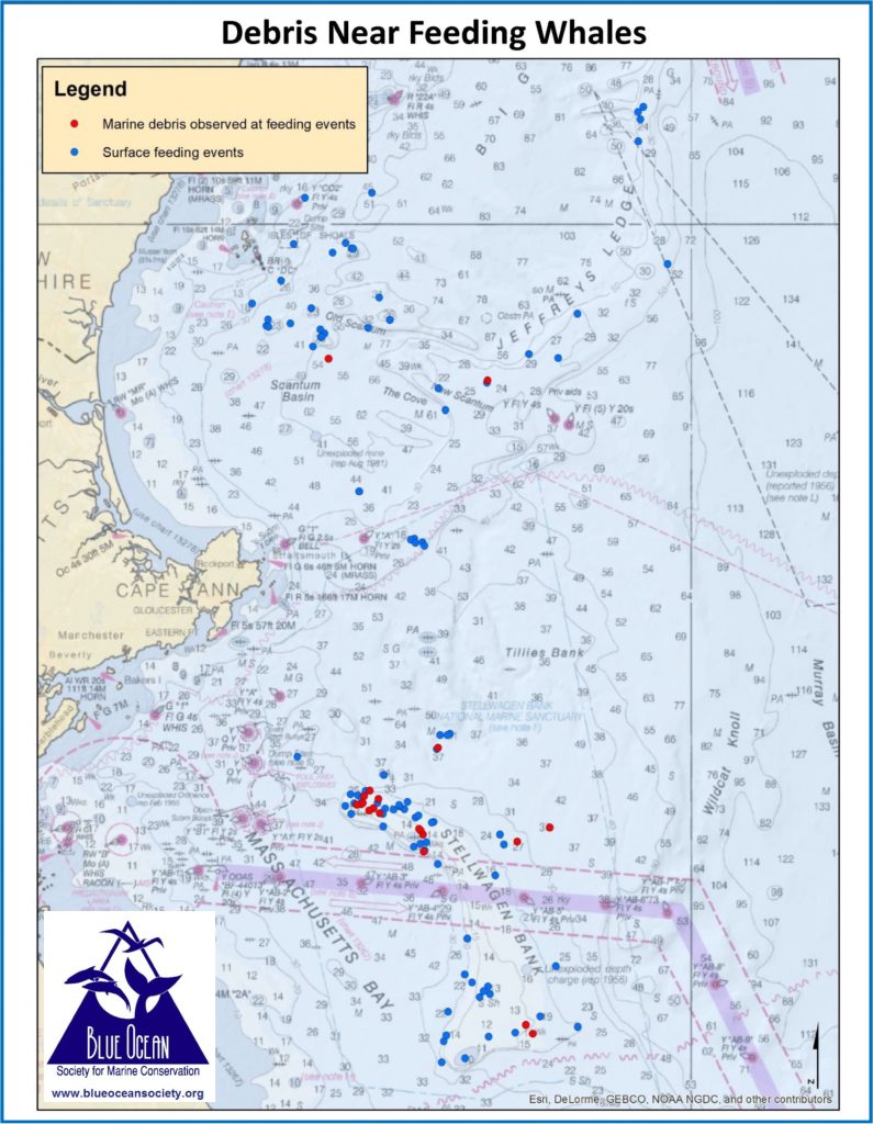 Map showing surface feeding activity, and surface feeding near debris.