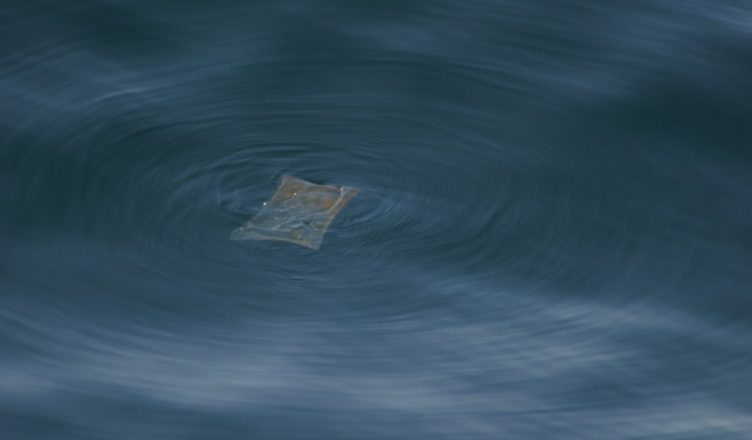 Plastic wrapper out at sea