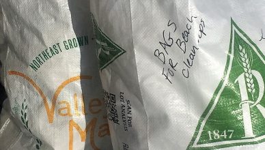 Grain bag