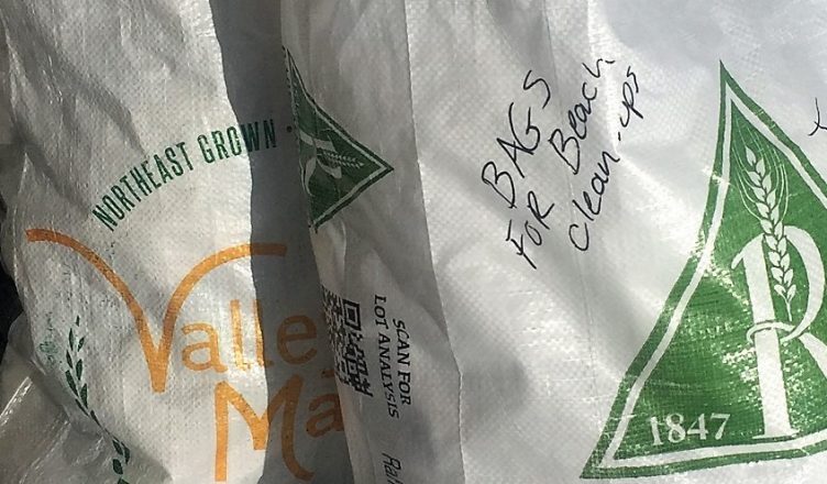 Grain bag