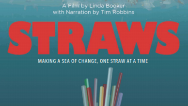 Straws Film
