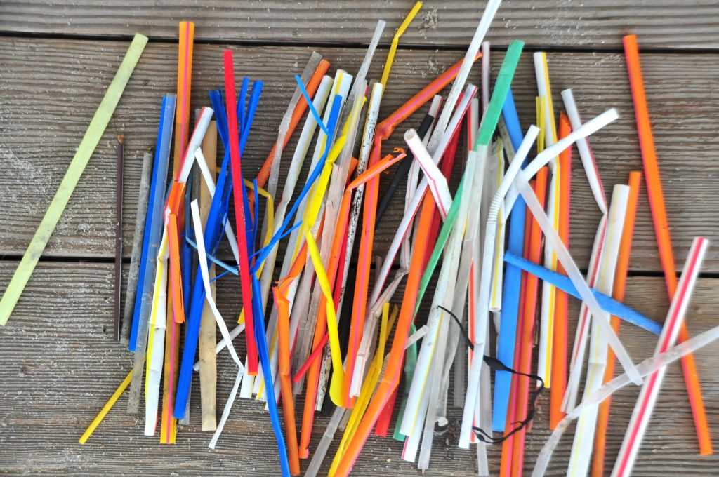 Skip the Straw Project Blue Ocean Society for Marine