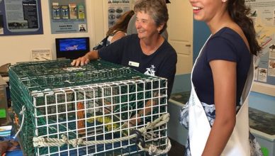 Miss Hampton Beach Visits the Blue Ocean Discovery Center