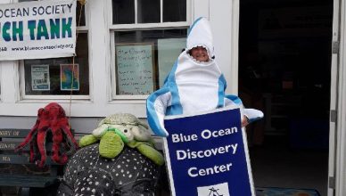 Lots of fun at the Blue Ocean Discovery Center