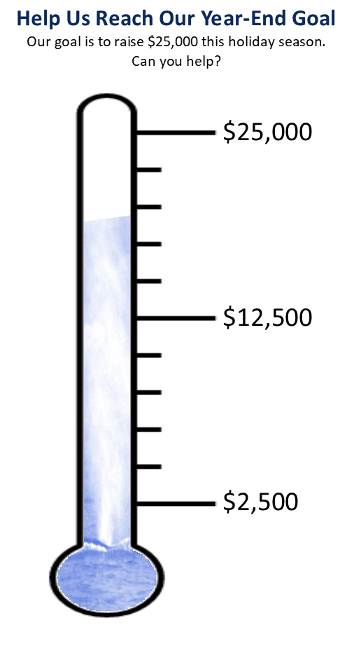 Donation thermometer