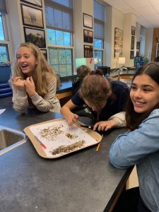 Portsmouth MIddle School microplastics activity