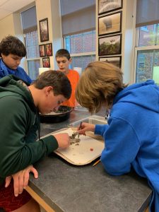 Portsmouth MIddle School microplastics activity