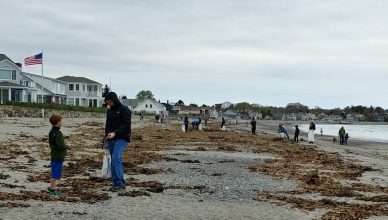 Jenness Beach cleanup, May 2018