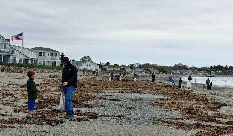 Jenness Beach cleanup, May 2018