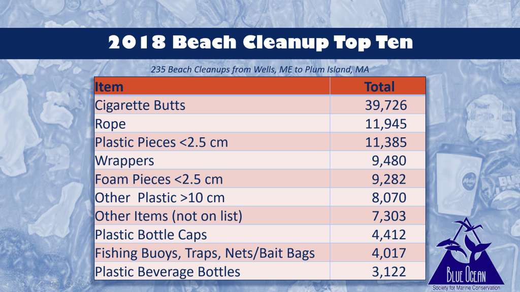 2018 Beach Cleanup Top Ten