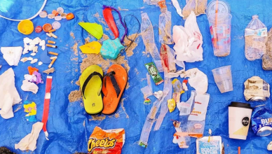 Litter from Hampton Beach, August 2018