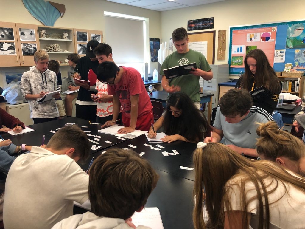 Souhegan High School students engaging in right whale activity. Image courtesy Julianne Mueller Northcutt