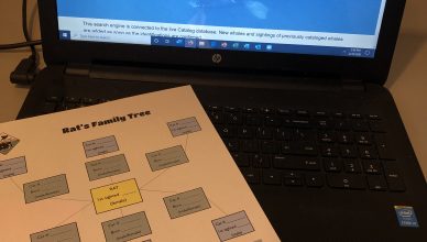 Right Whale Family Trees Activity