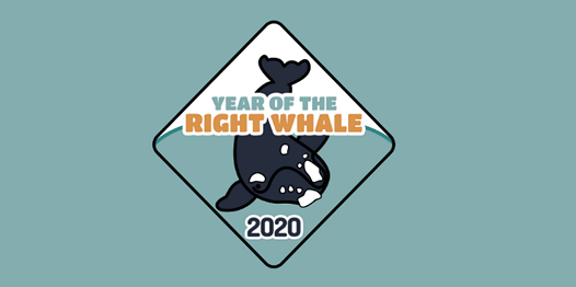 Year of the Right Whale logo