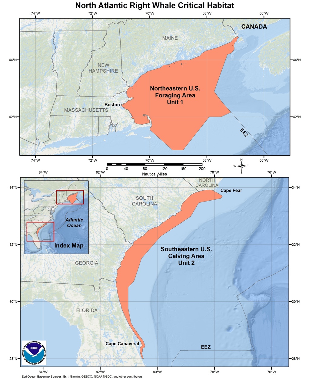 Whale Migration Map Atlantic Ocean 