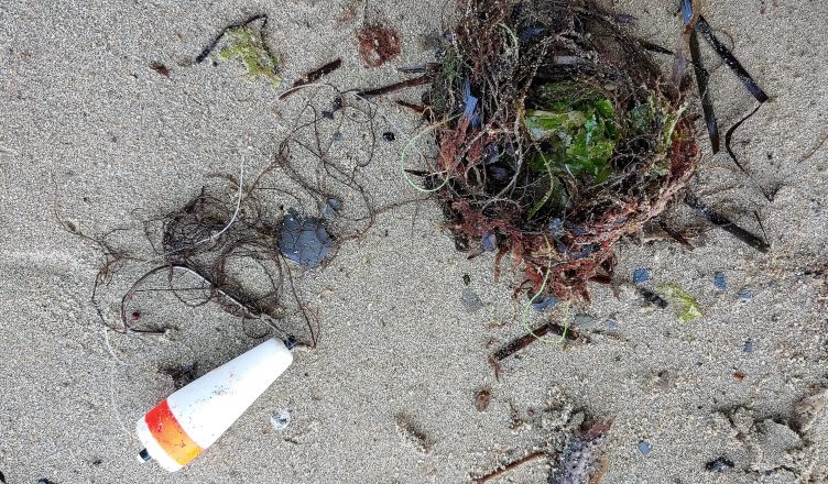 Fishing line and hook on a beach, with seaweed