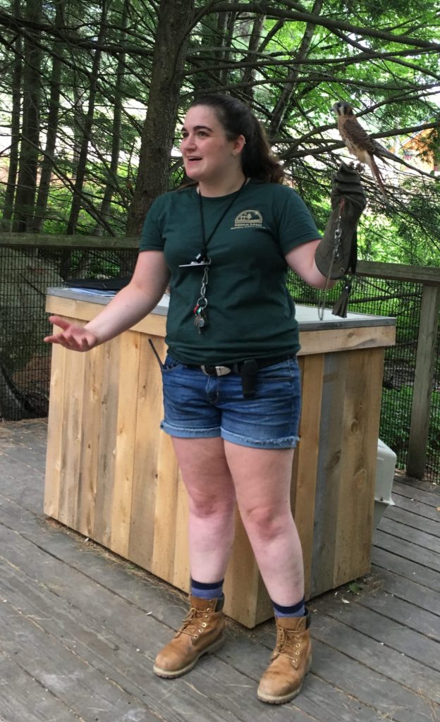 Niki with a female American Kestrel