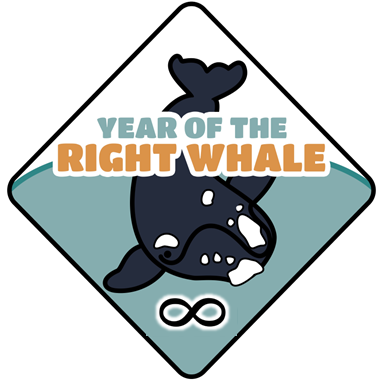 Year of the Right Whale logo