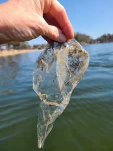 Clear plastic pulled from the Piscataqua River in Portsmouth