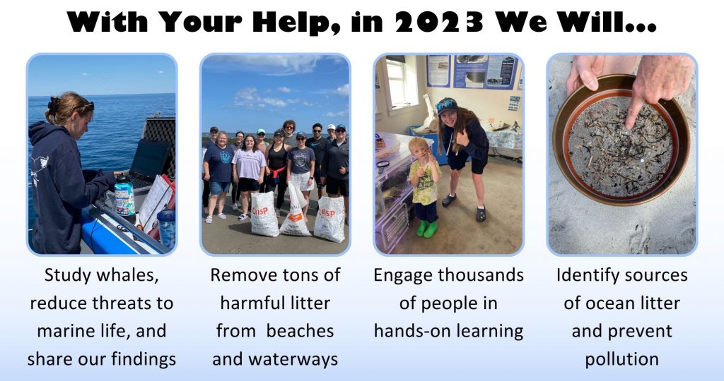 Graphic showing how your gift helps marine life in 2023.  Projects include studying whales, cleaning up local beaches, teaching thousands of program participants, and studying plastic pollution