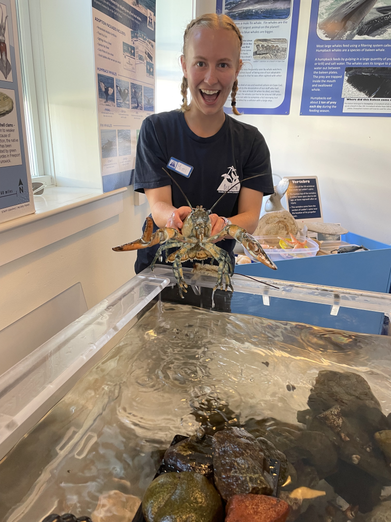 Blue Ocean Discovery Center intern with a lobster