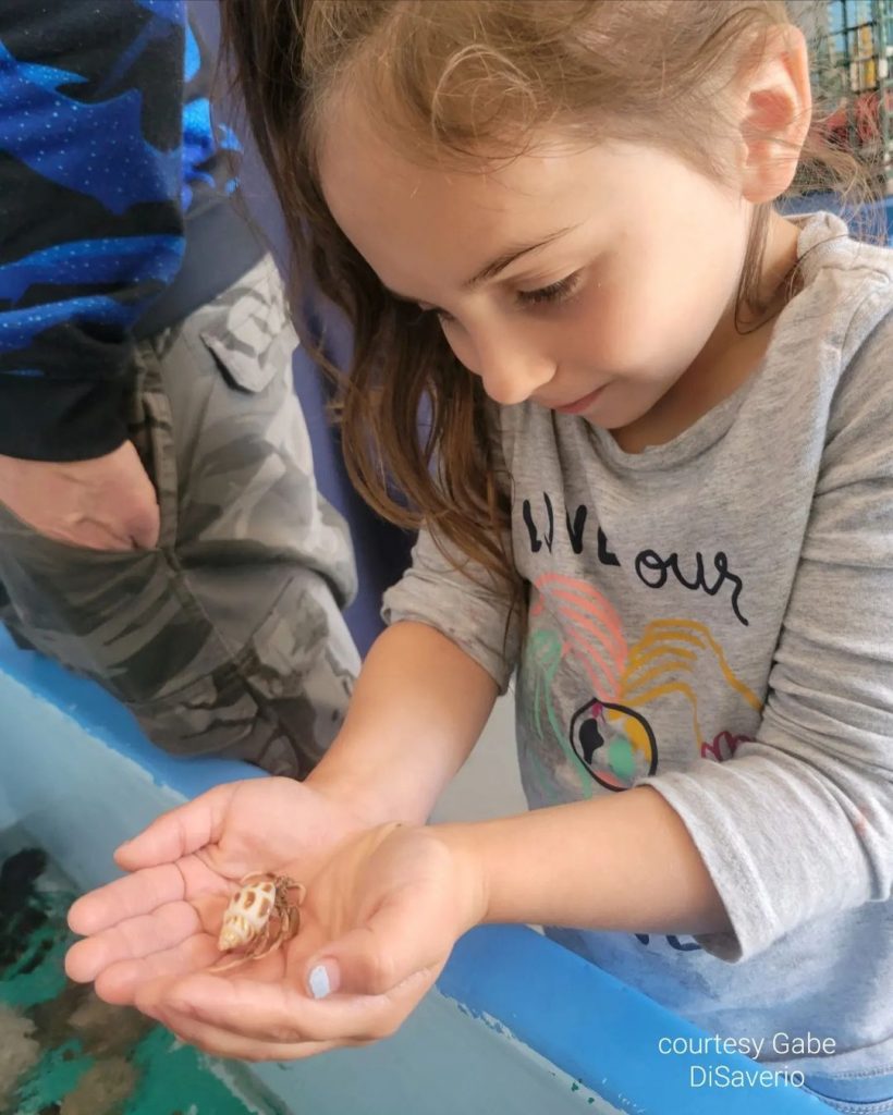 Visitor holding a hermit crab