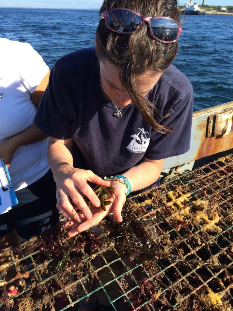 Jen Kennedy from BOS during a trap cleanup in 2014