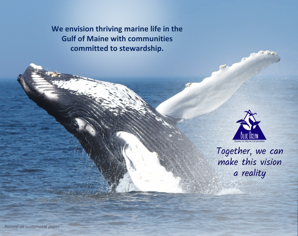 Humpback whale jumping out of the water with the words "We envision thriving marine life in the Gulf of Maine with communities committed to stewardship. Together we can make this vision a reality"