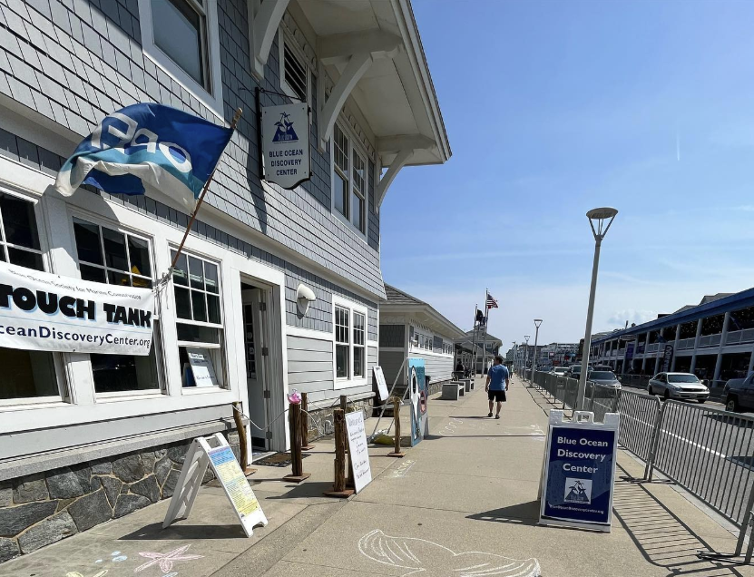 Blue Ocean Discovery Center Opening for Summer 2025!